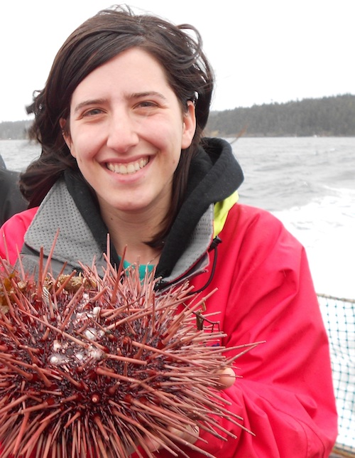 Lauren holds a huge sea urchin during a trawl off of San Juan Island.